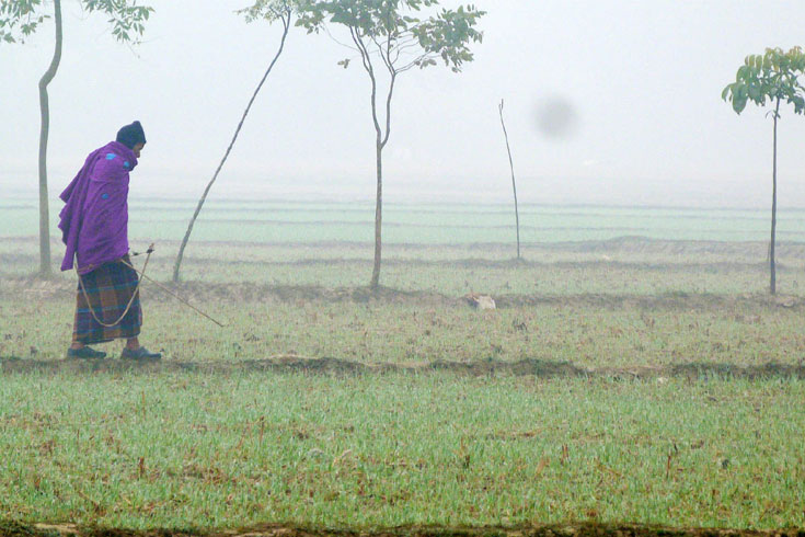 শীতে অসহায় ঠাকুরগাঁওয়ের মানুষ

