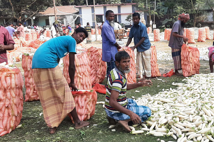 এক-টাকায়-মুলা-তিন-টাকায়-ফুলকপি