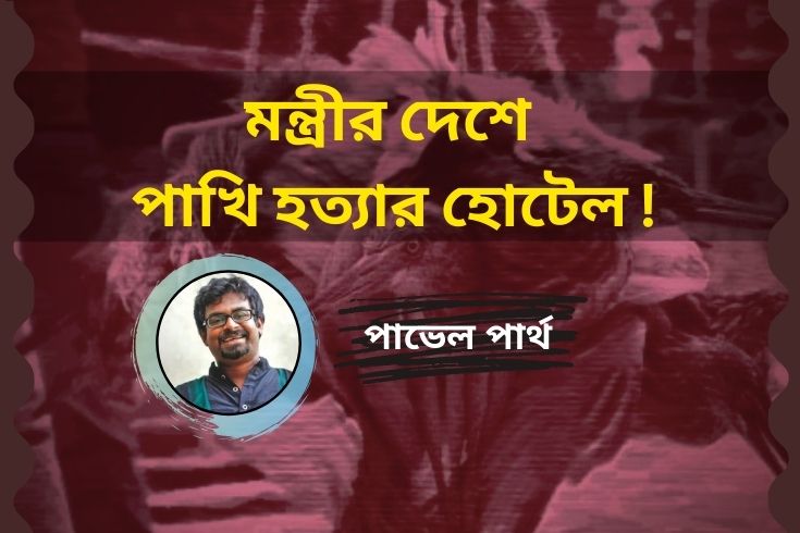 মন্ত্রীর-দেশে-পাখি-হত্যার-হোটেল