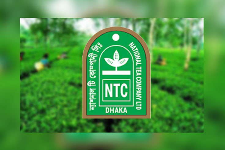 ন্যাশনাল টি কোম্পানির ফের
চেয়ারম্যান শেখ কবির