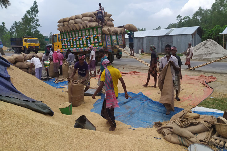 সীমিত পরিসরে চাল আমদানির সুযোগ