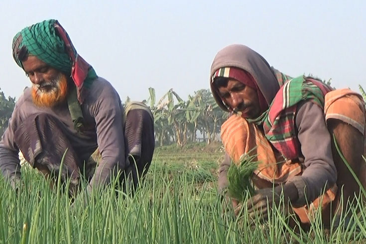 এখনও-কৃষকের-পাশে-কৃষক

