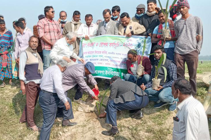 সুজানগরে-রোপণ-হবে-১০-হাজার-তালগাছ