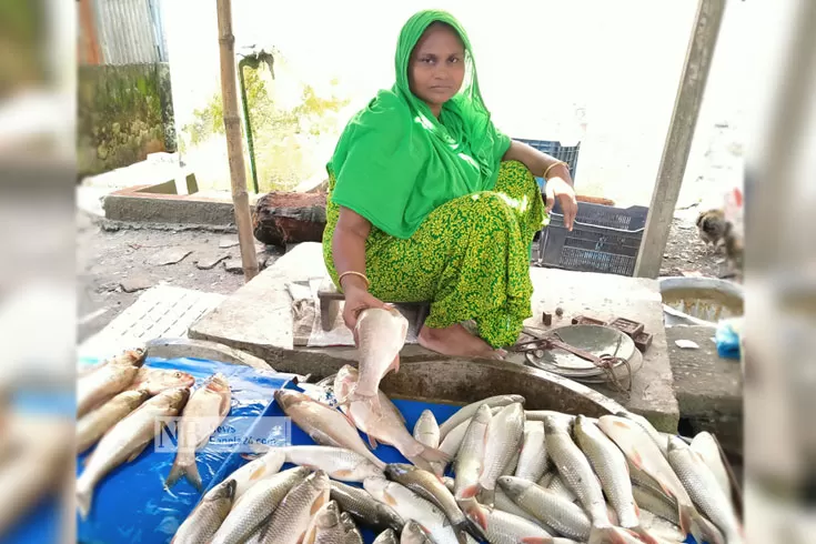 বউ-বাজারের-হালচাল