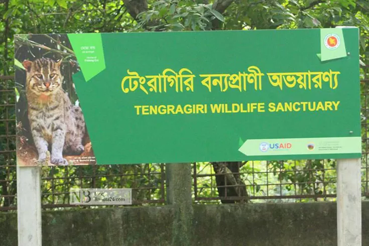 ইকোপার্কে-সংঘবদ্ধ-ধর্ষণ-গ্রেপ্তার-হয়নি-কেউ