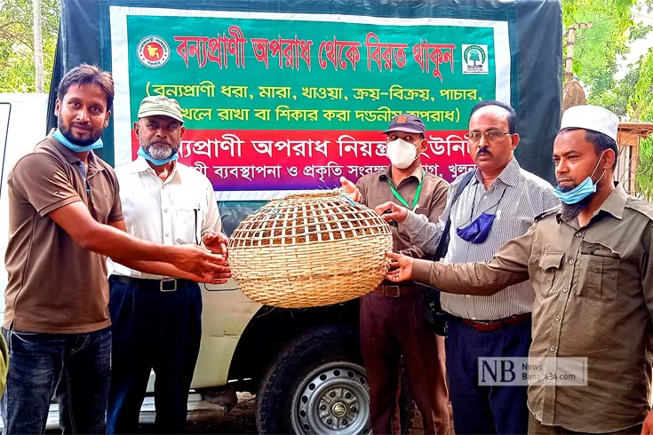 লাঠির আঘাতে মেছো বাঘের মৃত্যু, তিনটি বাচ্চা উদ্ধার