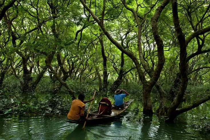 কফিনে-শুয়ে-পর্যটন-খাত