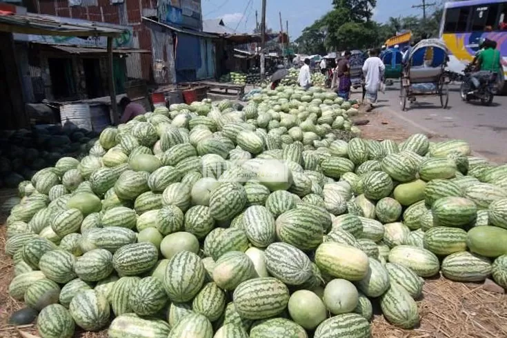 তরমুজের ট্রাকেও চাঁদাবাজি