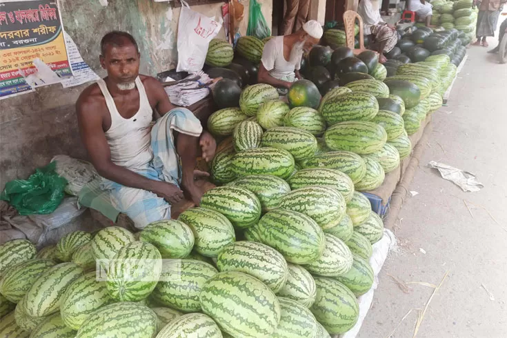 রোজায় দাম দ্বিগুণ, চাষির ঠকা শত কোটি টাকা