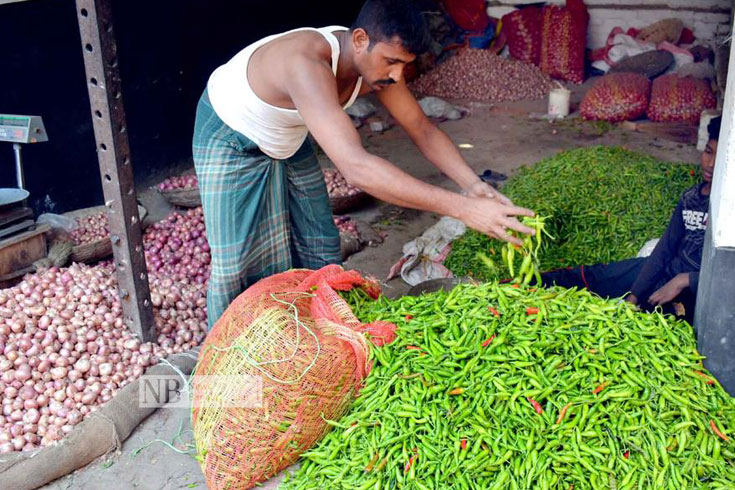 বগুড়ায় মরিচের কেজি ১০ টাকা