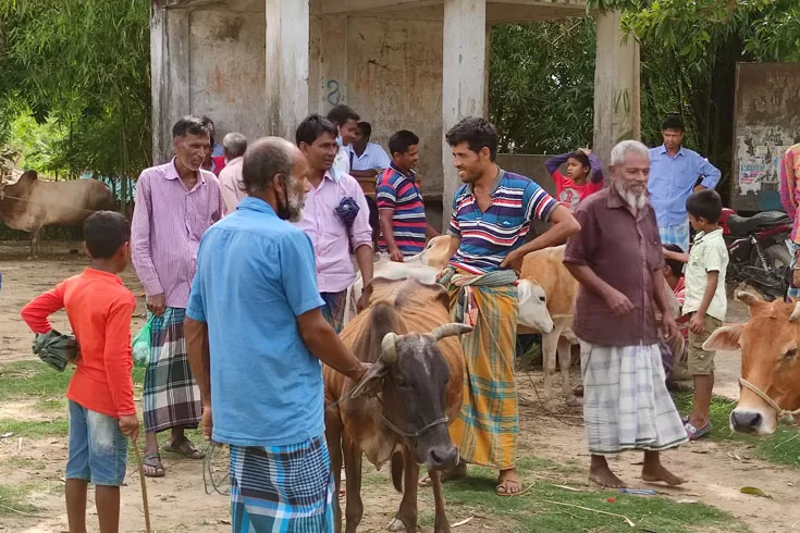 ‘পেটের দায়ে’ লকডাউনেই পশুর হাট