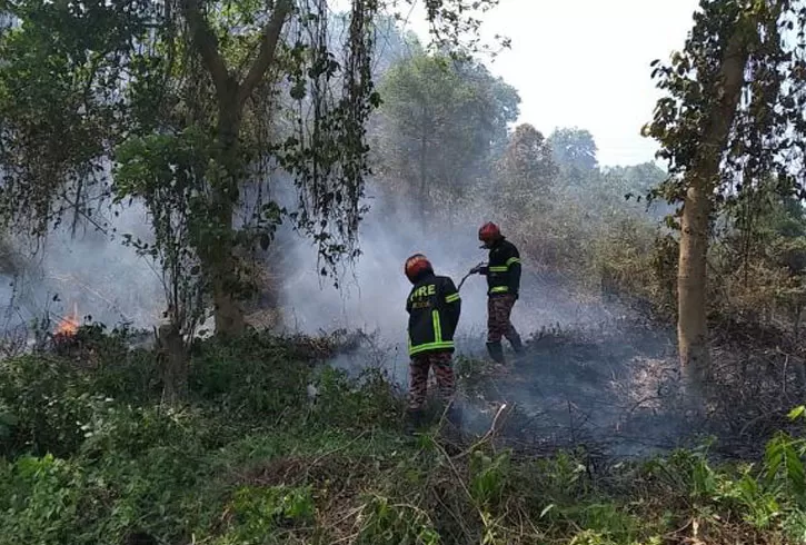 লাউয়াছড়ার বনে আগুন দিল কে