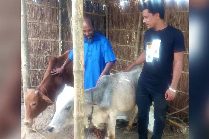 গরুর-মৃত্যুর-খবর-ফেসবুকে-ষাঁড়-পেলেন-কৃষক