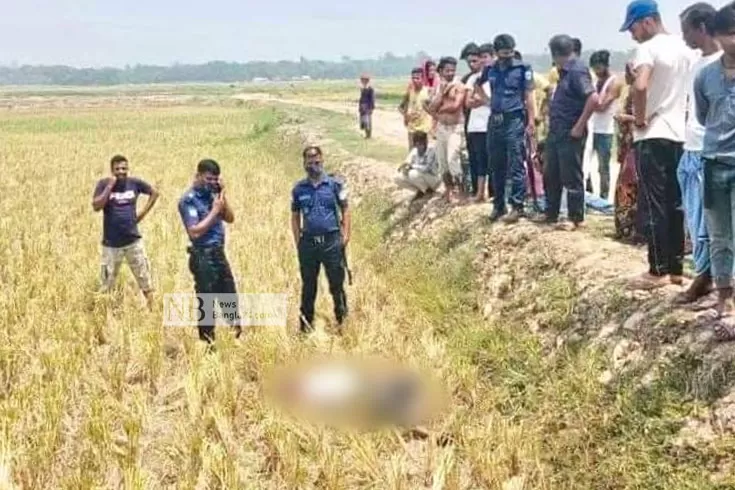 মরদেহ 