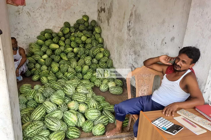 কুষ্টিয়ার তরমুজ 