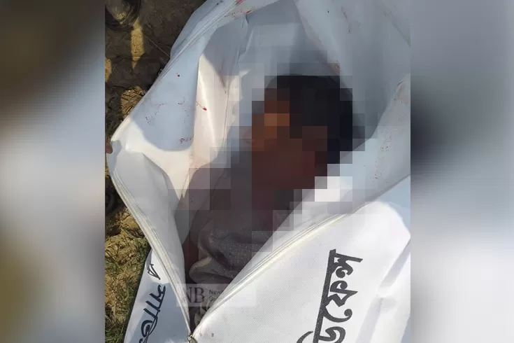 ট্রাকচাপায়-ভ্যানচালক-নিহত