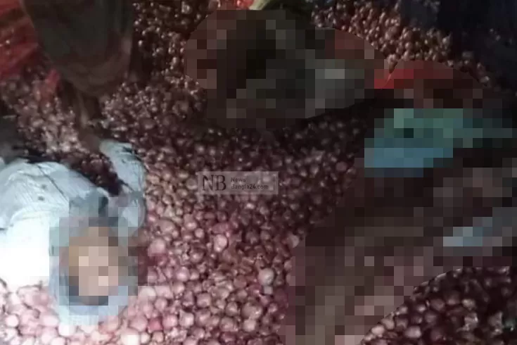 পেঁয়াজভর্তি-ট্রাক-খাদে-নিহত-১