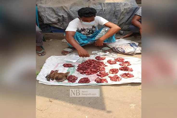 শিয়ালের-মাংস-বেচতে-গিয়ে-কারাগারে