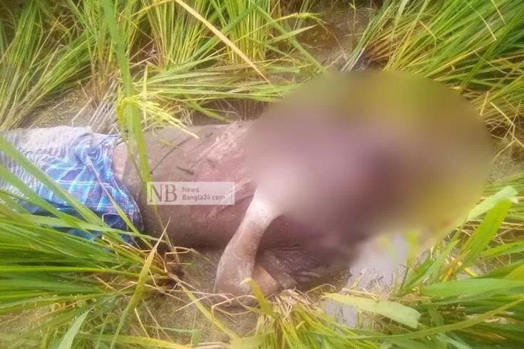 ধানক্ষেতে মরদেহ 