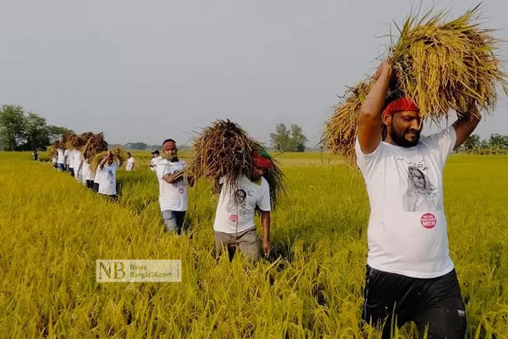 দুই-বিঘা-জমির-ধান-কেটে-দিল-স্বেচ্ছাসেবক-লীগ