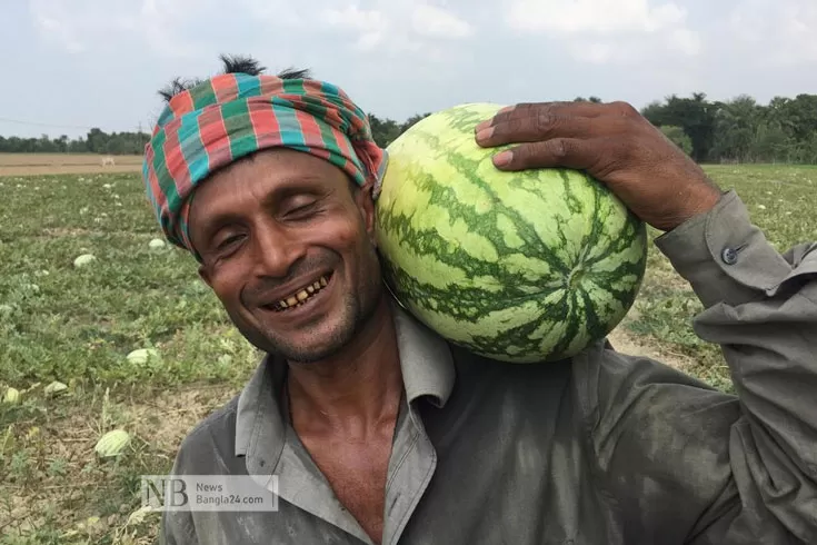 তরমুজের-কেজি-হওয়া-উচিত-৩০-টাকার-মধ্যে