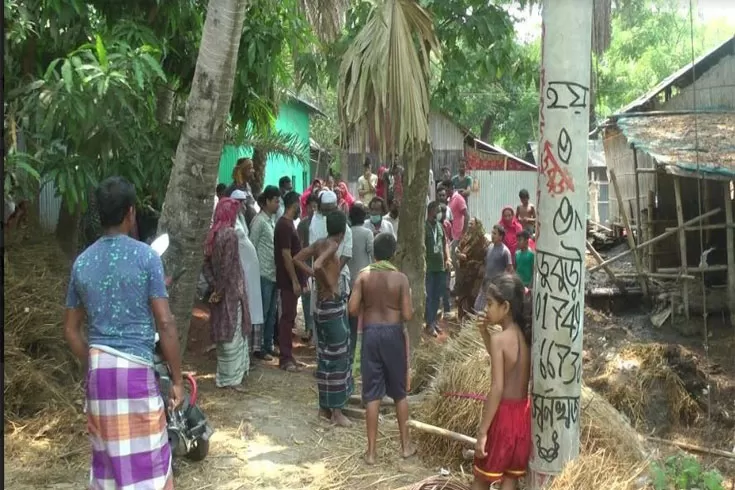 কবরস্থান-দখল-করে-গরুর-খামার