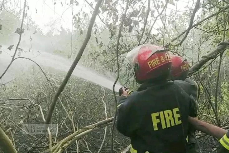 আগুন সুন্দরবন