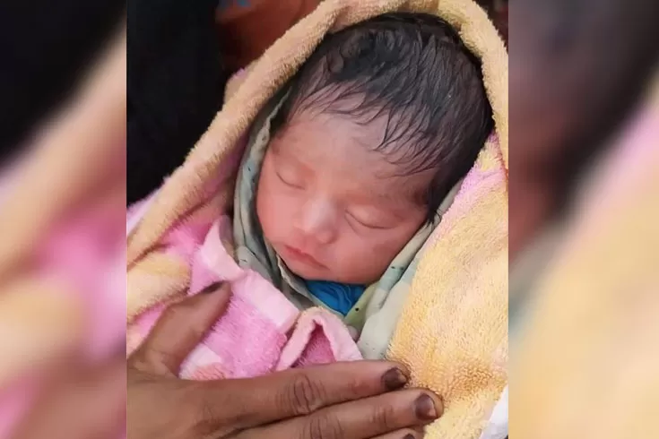পদ্মার চরে জন্ম 