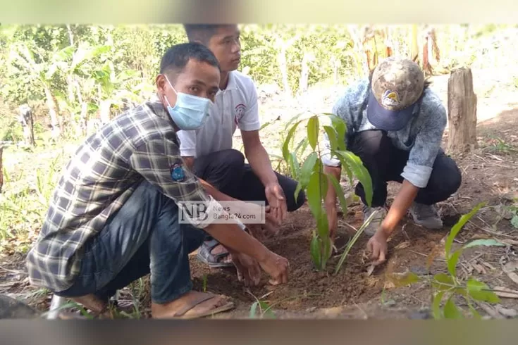 মেঘের রাজ্যে এক লাখ চারা রোপণের উদ্যোগ