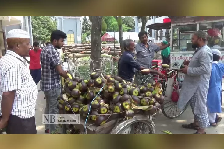 তাপদাহে-তালশাঁস-নিয়ে-কাড়াকাড়ি