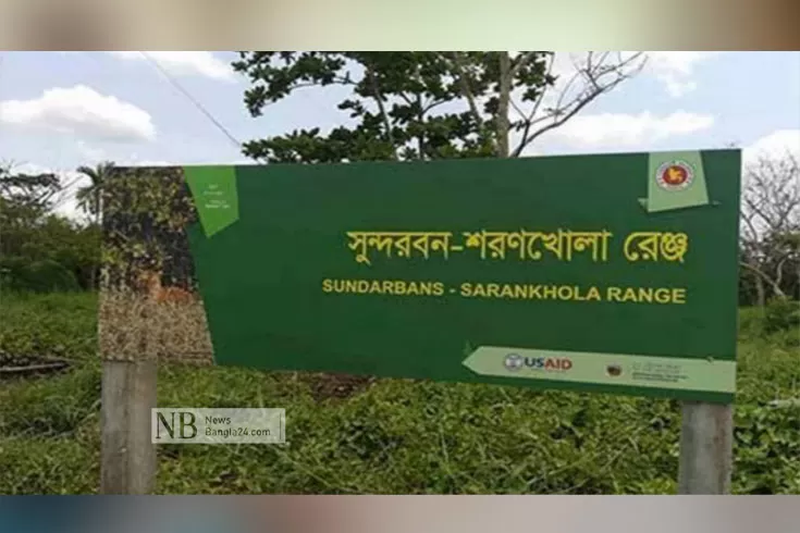 ঘূর্ণিঝড়-ইয়াস-সুন্দরবনে-বন্ধ-৮-টহলফাঁড়ি