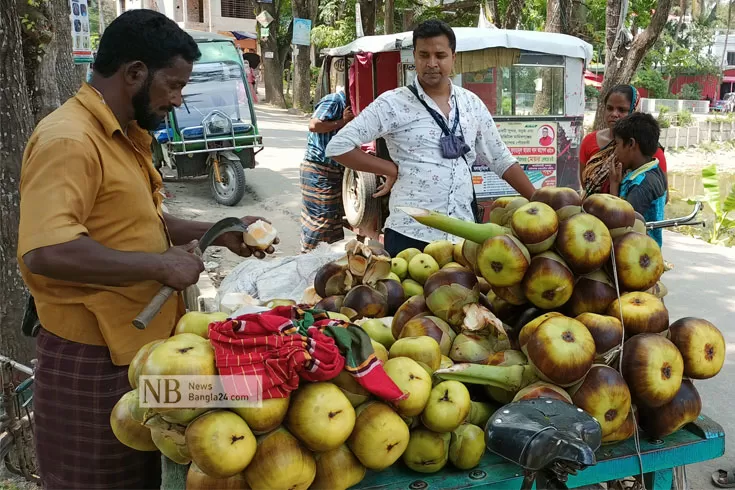 মানিকগঞ্জে-তালের-শাঁসের-দোকানে-ছুটছে-সবাই