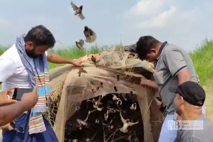 শিকারিদের-ধরা-সহস্রাধিক-পাখি-মুক্ত-আকাশে