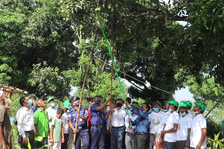 এক জেলাতেই ১৫০০ কোটি টাকার আম