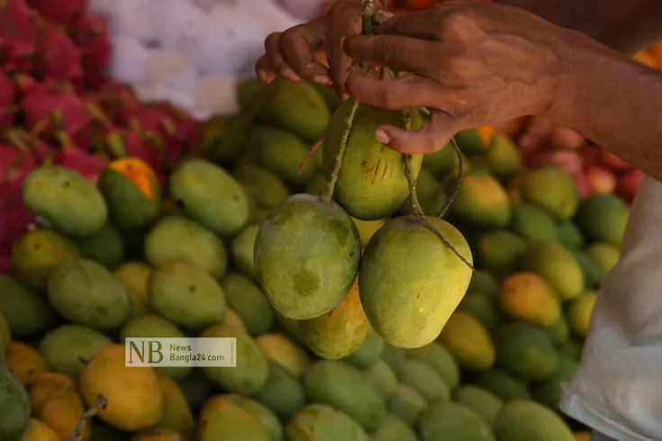 আম-আসছে-স্পেশাল-ট্রেনে