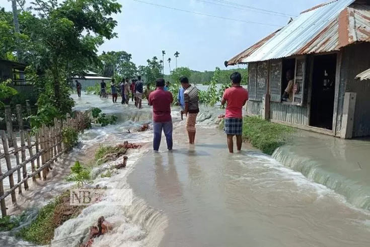 অতি-জোয়ারে-বরগুনায়-মাছের-ক্ষতিই-কোটি-টাকার