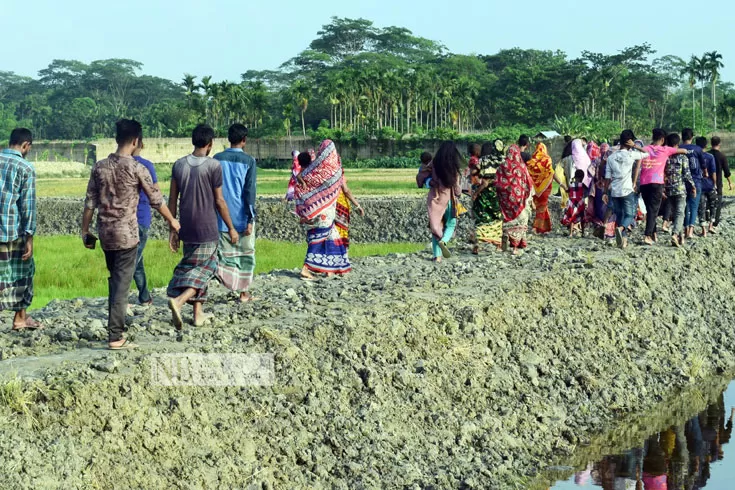 বিলের মধ্যে রাস্তা 