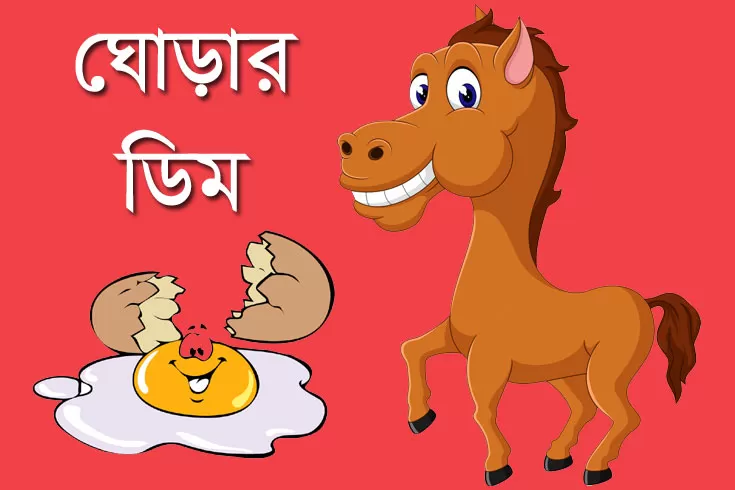 ঘোড়ার-ডিম