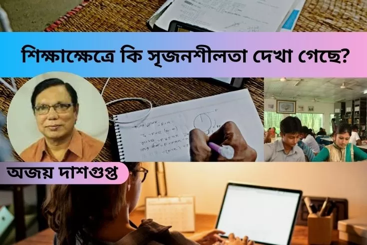 শিক্ষাক্ষেত্রে-কি-সৃজনশীলতা-দেখা-গেছে?