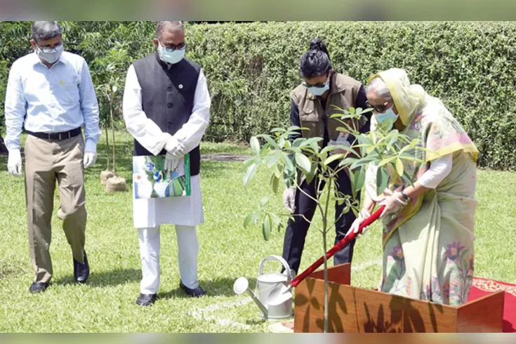 গণভবনে-চারা-রোপণ-করবেন-প্রধানমন্ত্রী