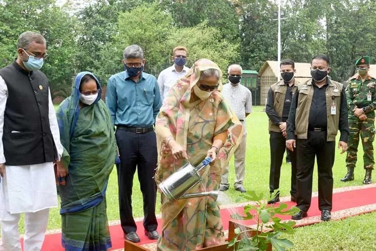 সবুজ-বাংলাকে-আরও-সবুজ-দেখতে-চান-প্রধানমন্ত্রী