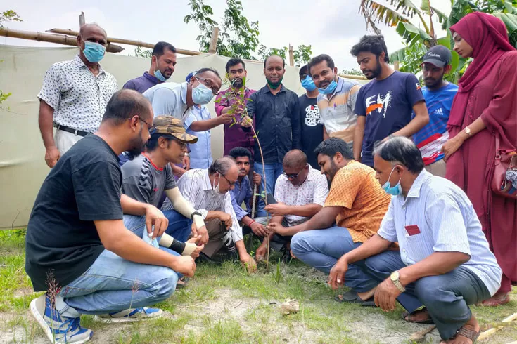 বৃক্ষরোপণে পালিত হলো পরিবেশ দিবস