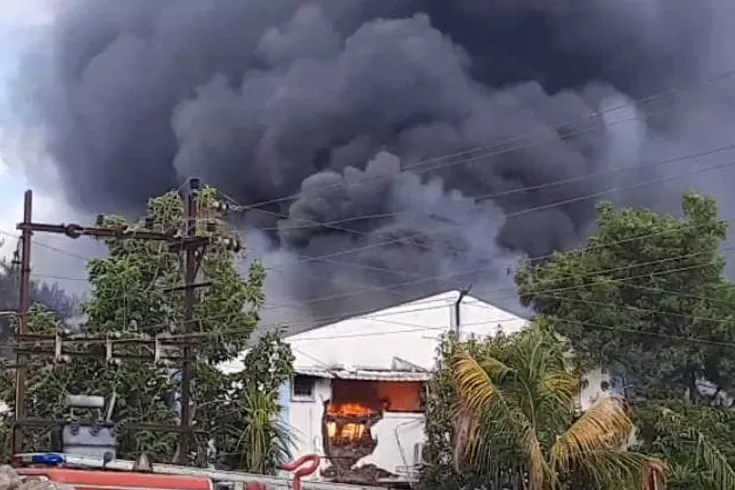 ভারতে স্যানিটাইজার কারখানায় আগুন, ১৮ জনের মৃত্যু 