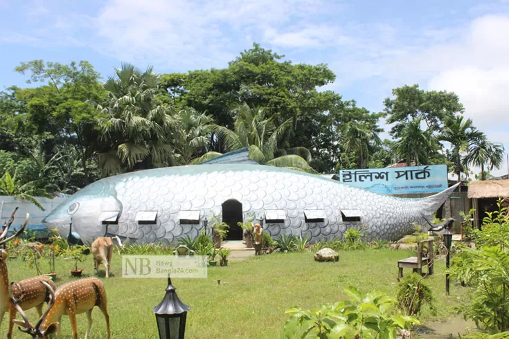 ইলিশ-রেস্টুরেন্ট-কুয়াকাটাতেও