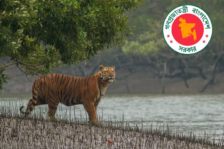 পরিবেশ-মন্ত্রণালয়ে-চুক্তিভিত্তিক-নিয়োগ