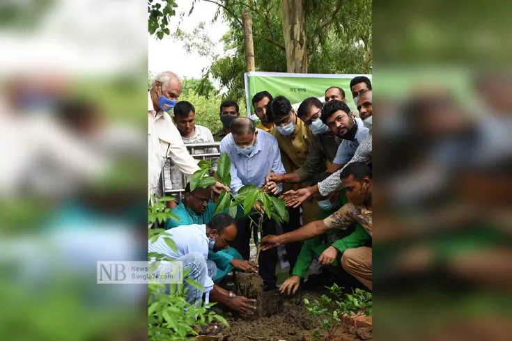 ক্ষমতায়-থাকতে-হাজারও-গাছ-কাটেন-জিয়া-দাবি-তথ্যমন্ত্রীর