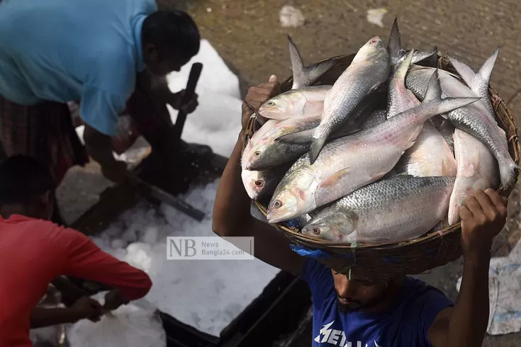 ভারতে ইলিশ না পাঠানো নিয়ে মোমেন যা বললেন