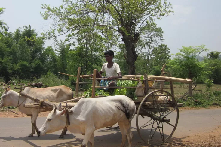 গরুর-গাড়িতে-সরকারকে-শিক্ষার-হুঁশিয়ারি-সিপিবির