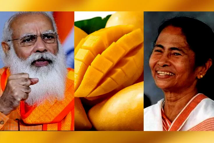 মোদিকে-আম-পাঠালেন-মমতা