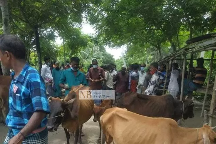 জমজমাট পশুর হাট পণ্ড করে দিলেন ইউএনও